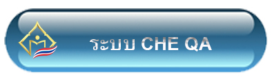 CHE QA Online System